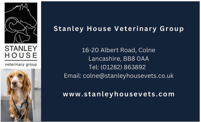 Stanley House Veterinary Group